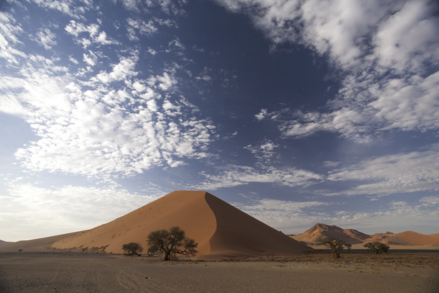 Desierto del Namib - NAMIBIA & KRUGER por libre: 21 días Very WILD (24)