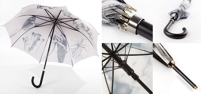 umbrella-inside