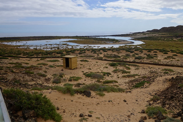 Fuerteventura (Islas Canarias). La isla de las playas y el viento. - Blogs de España - Corralejo, Islote de Lobos (vuelta a la isla, ruta a pie) y Dunas de Corralejo. (44)