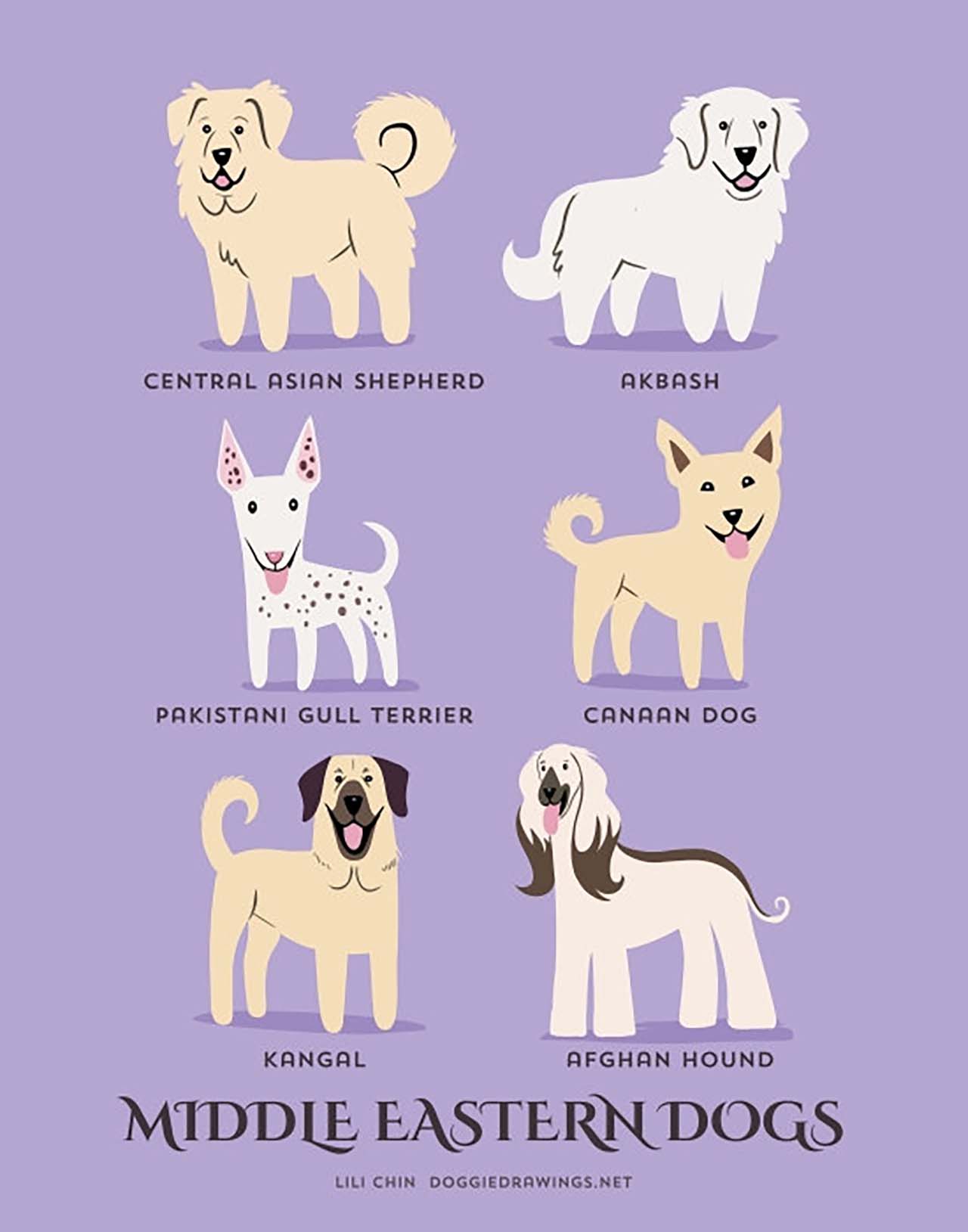 Породы собак страны