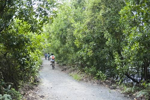 Cycling on Pulau Ubin