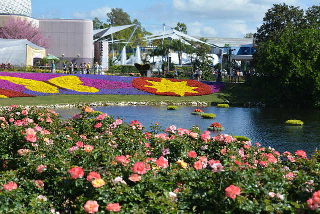Epcot Roses