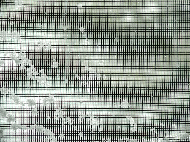 Snow on the Screen