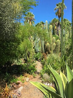 Cacti & Succulent Garden