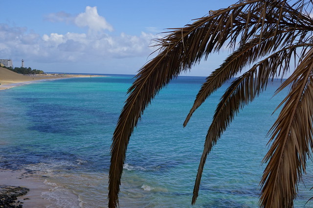 Fuerteventura (Islas Canarias). La isla de las playas y el viento. - Blogs de España - Faro de Punta Jandia, Playa de Cofete, Morro Jable y Playa de la Barca. (43)