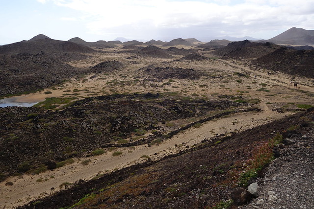 Fuerteventura (Islas Canarias). La isla de las playas y el viento. - Blogs de España - Corralejo, Islote de Lobos (vuelta a la isla, ruta a pie) y Dunas de Corralejo. (43)
