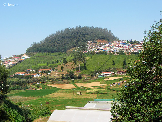 A view from my balcony overlooking Elk Hill, Ooty