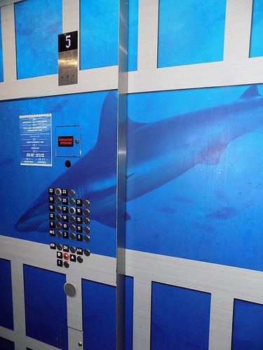 Shark on the elevator! From Discover your license to chill at Margaritaville Resort Biloxi