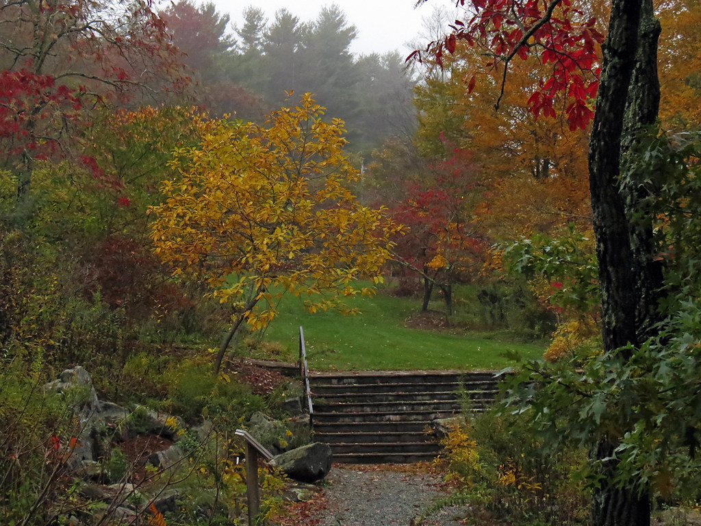 Fall At The Daniel Boone Native Gardens View From The Base Flickr