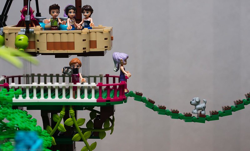 [MOC] gigantesque : univers parallèle, tous les lego Girly font la fête chez Lego Elves 32954869224_38d373ae06_c