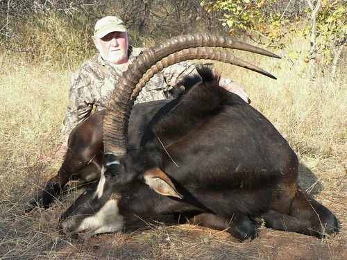 African Hunting