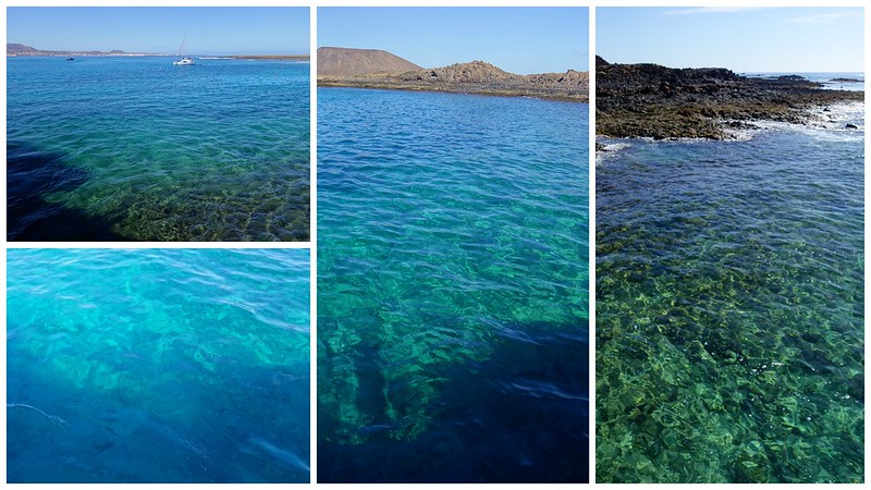 Fuerteventura (Islas Canarias). La isla de las playas y el viento. - Blogs de España - Corralejo, Islote de Lobos (vuelta a la isla, ruta a pie) y Dunas de Corralejo. (14)