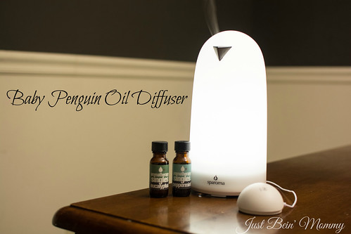Baby Penguin oil diffuser