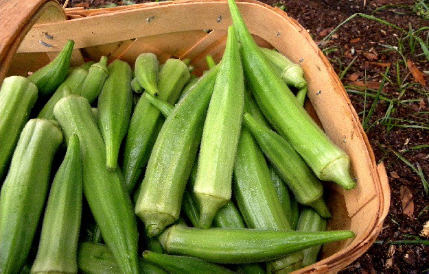 Image result for भिंडी बहुत ही पौष्टिक सब्जी