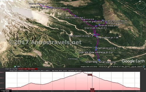 Visual trail map & elevation profile for the trail to Elk Meadows and Gnarl Ridge, Mount Hood National Forest, Oregon