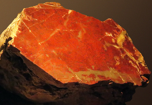 A slab of red jasper rock in the Cardiff Museum, Wales