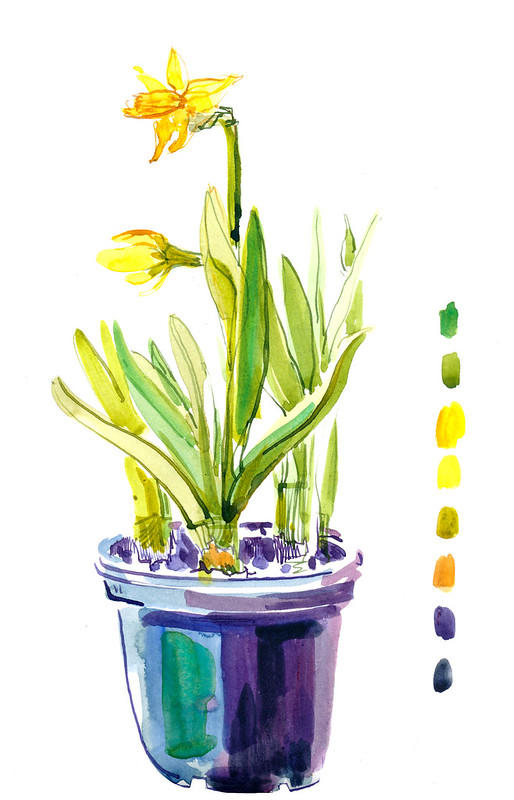 Sketchbook #102: Daffodils