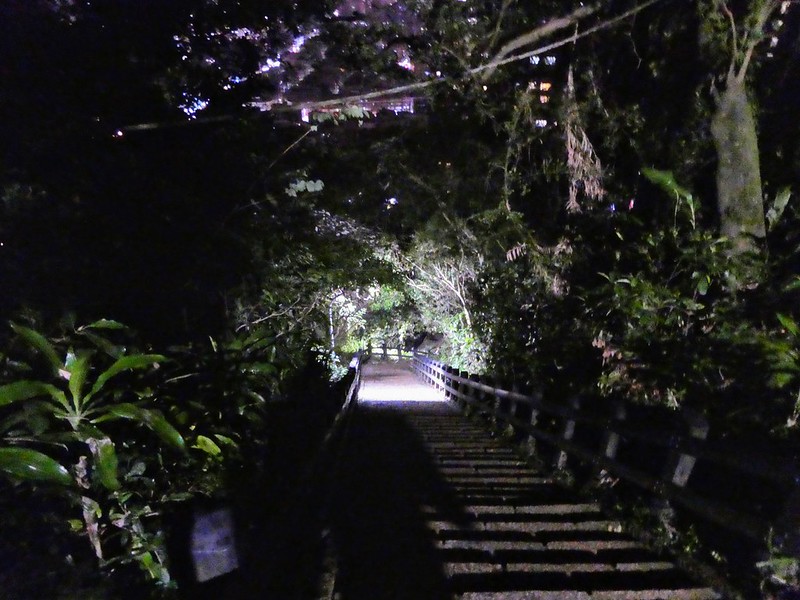 Steps leading down the Elephant Mountain Trail, Taipei 