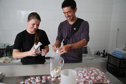 Senior Vet Nurse Wendy Leadbeater and Photographer Peter Yuen put bear medicine in marshmallows