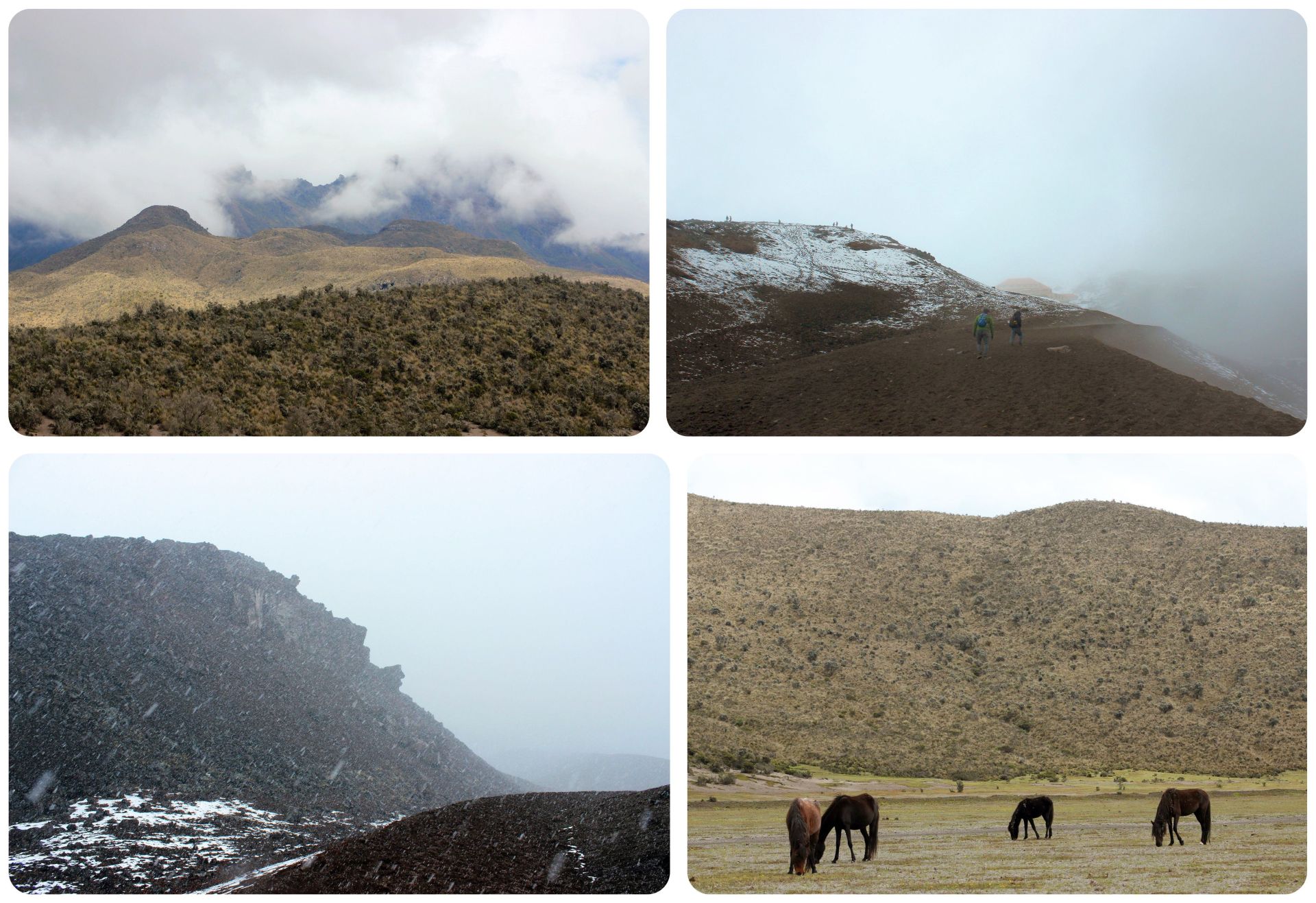 Cotopaxi Bike Tour Ecuador