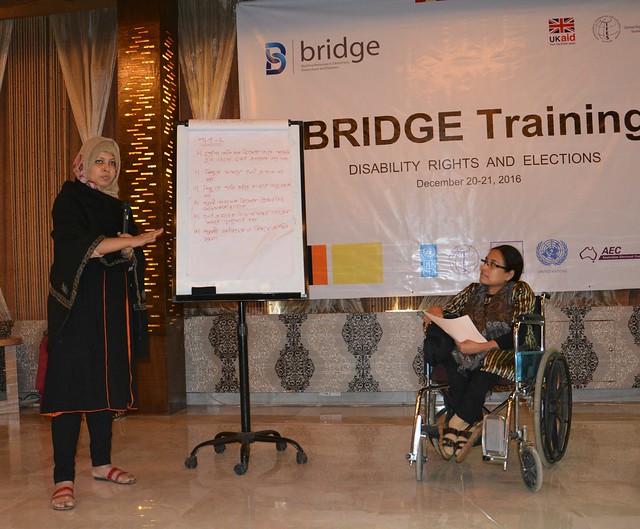IFES Launches New Training Module on Disability Rights and Elections