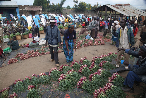 Market near Khulungira Village, in central Malawi