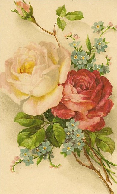 roses & forget-me-nots | from my vintage pc collection | Flickr