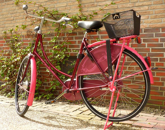 Neues Fahrrad: Gazelle Basic in pink | Annkari | Flickr