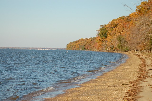 Fall on the Potomac River at Caledon State Park, Virginia