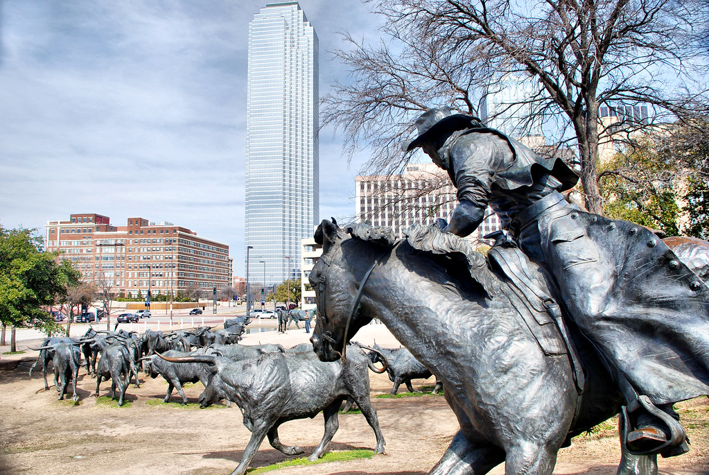 Dallas Cattle Drive Sculptures