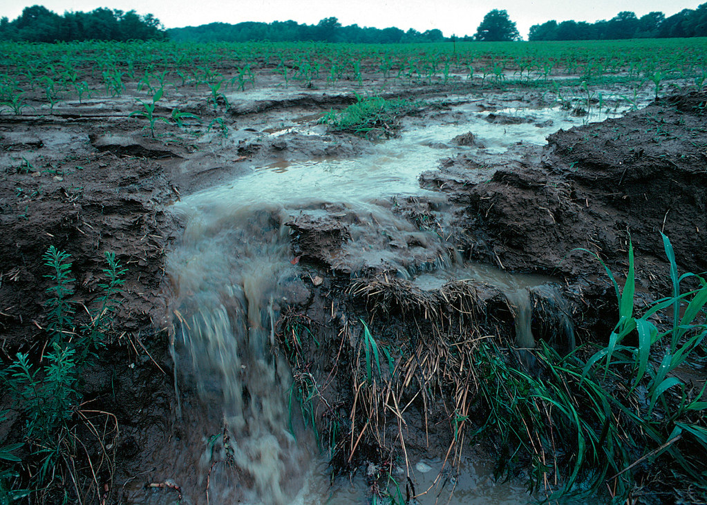 Agricultural runoff | Runoff of nutrients from farm fields i… | Flickr