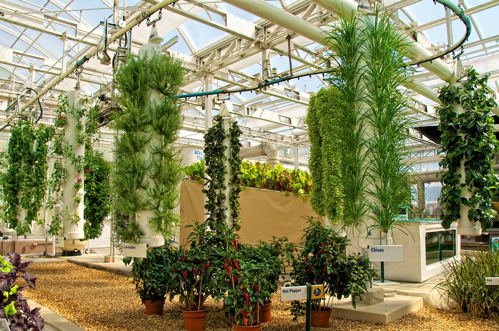 The Hanging Gardens | These planters travel all day on the ...
