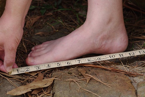 How many inches are in 50 centimeters? | reference.com