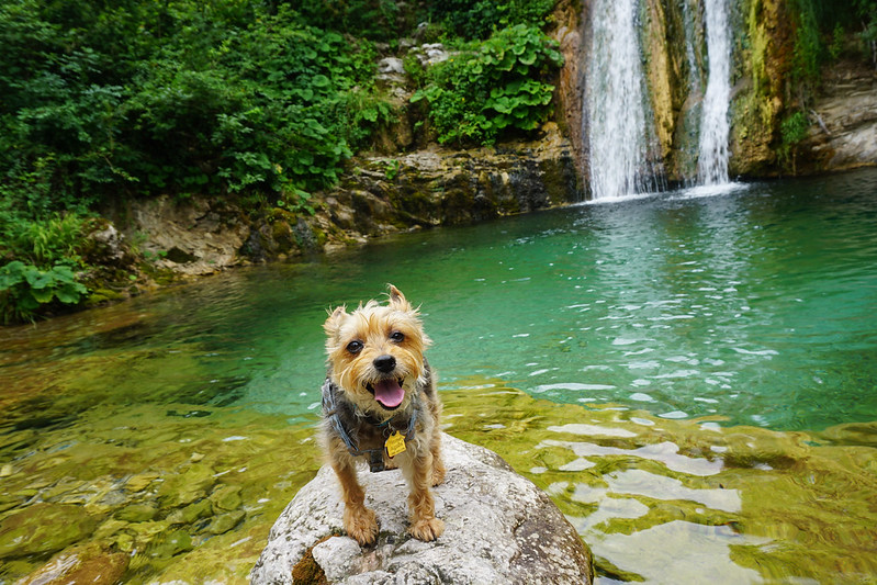 Luna with waterfalls