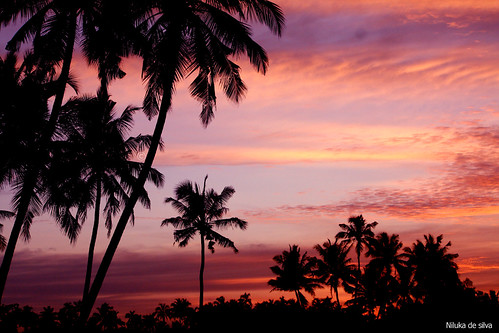 Sundown Negombo Sri Lanka | Sundown Negombo Sri Lanka | Flickr
