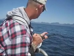 Catching a Halibut