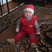 Kyrgyz design felt rugs | Flickr - Photo Sharing!