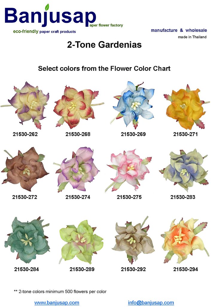 2-Tone Gardenia Colors | - Eco-friendly paper gardenia flowe… | Flickr
