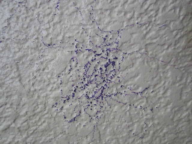 Purple crayon on the wall -- oops!