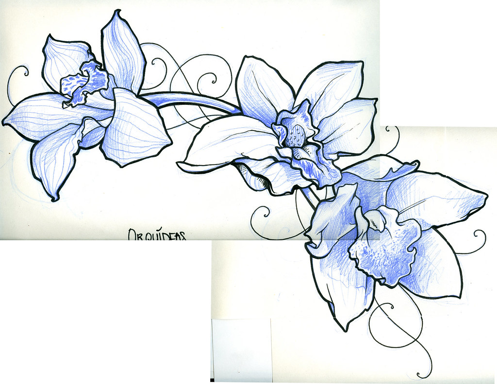 Orchid Drawing Tattoo