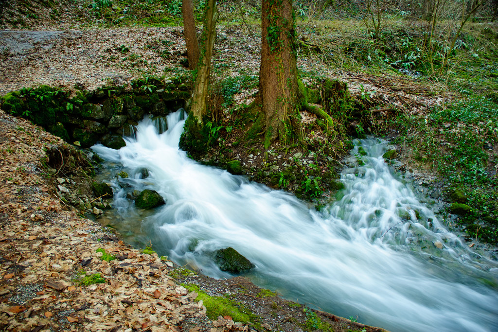 River source | One of the sources of river Ljubljanica. Moči… | Flickr