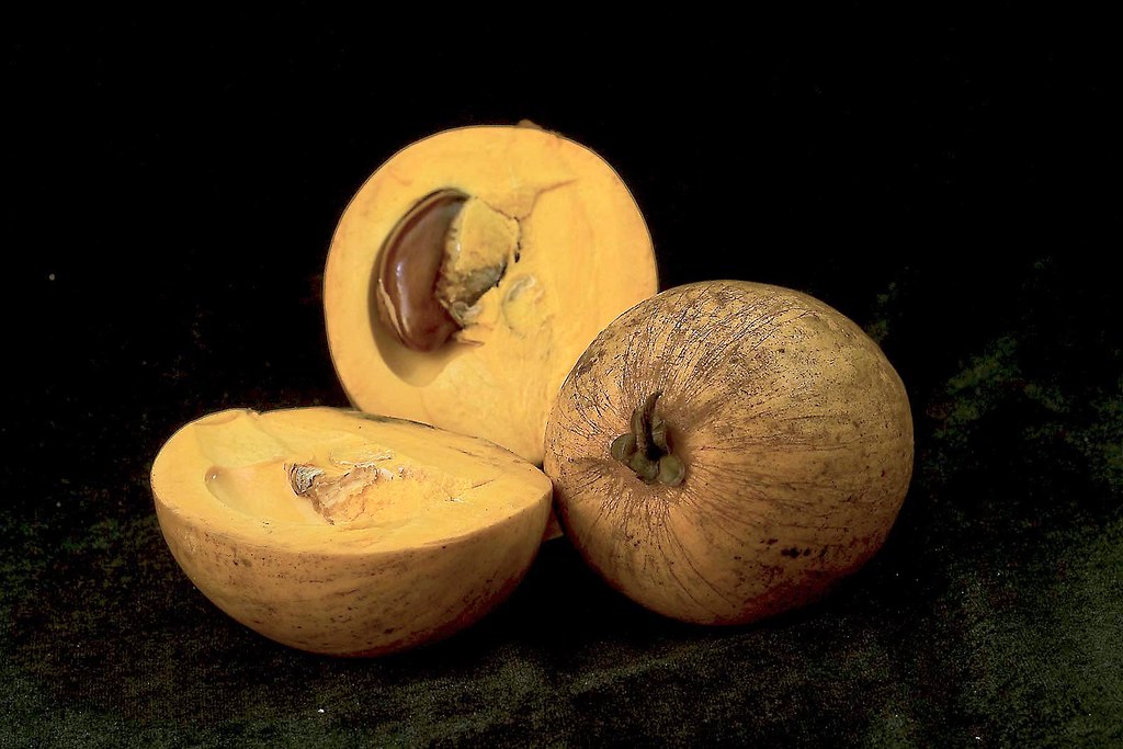 Lavulu - Egg fruit / Yellow sapote | #956 - Egg-fruit or Yel… | Flickr