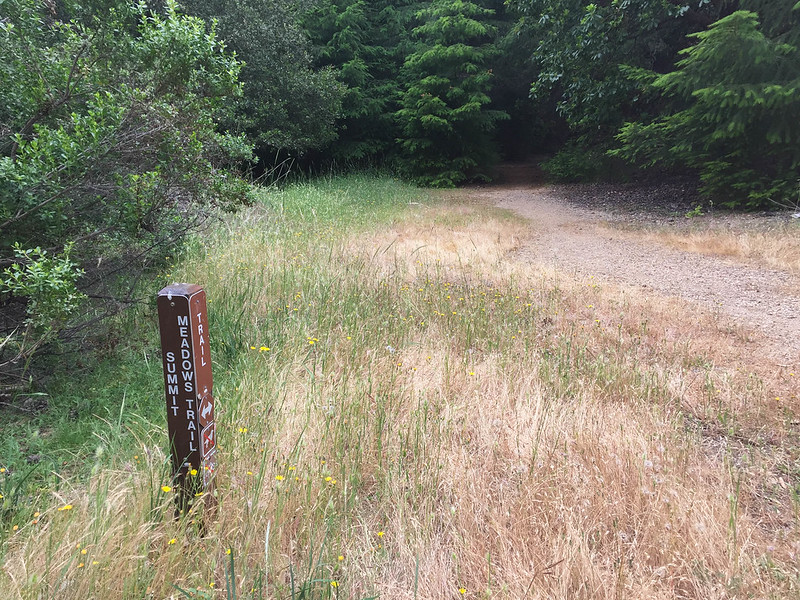 Summit Meadow Trail (G)