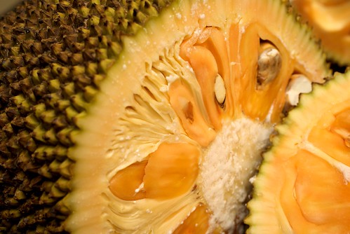 Jackfruit | The inside of the Jackfruit after cutting it ope… | Herb G ...