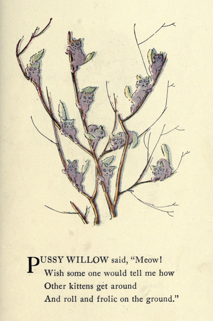 Pussy Willow Poems 6
