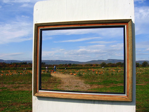 Image outside in field that's actually a empty frame