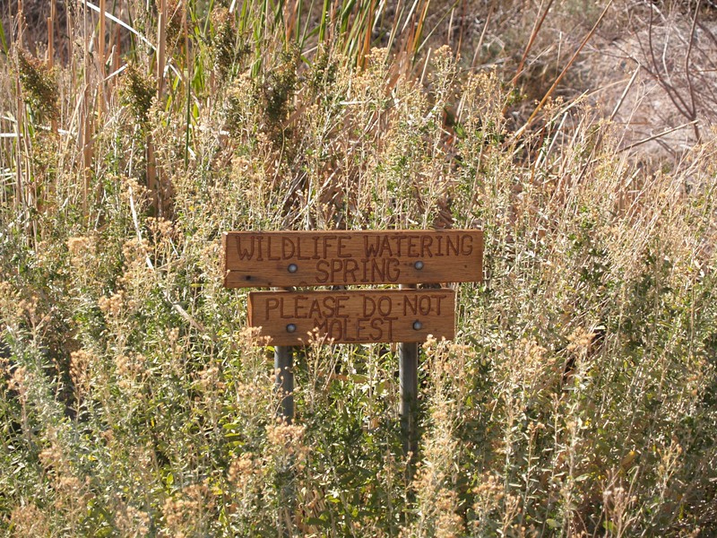 Sign asking people not to molest the Dos Cabezas Spring. Think of the Wildlife!
