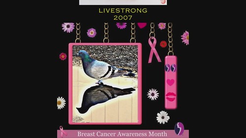 Breast Cancer Awareness ~ a time to reflect  (slide show with music)
