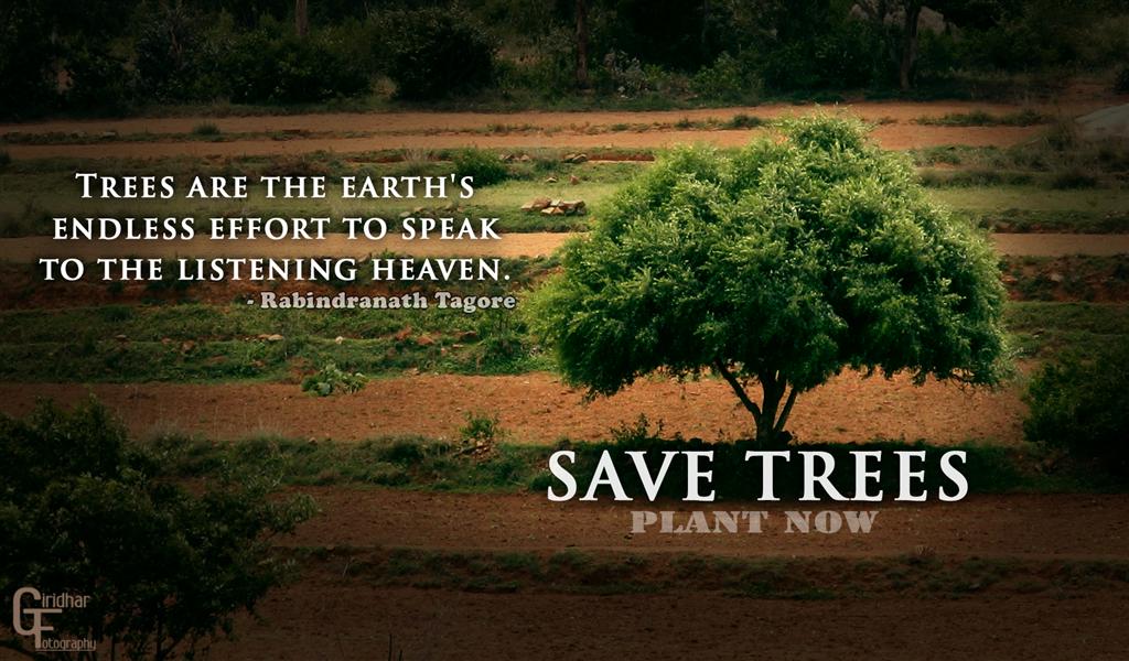 Save trees | Giridhar | Flickr