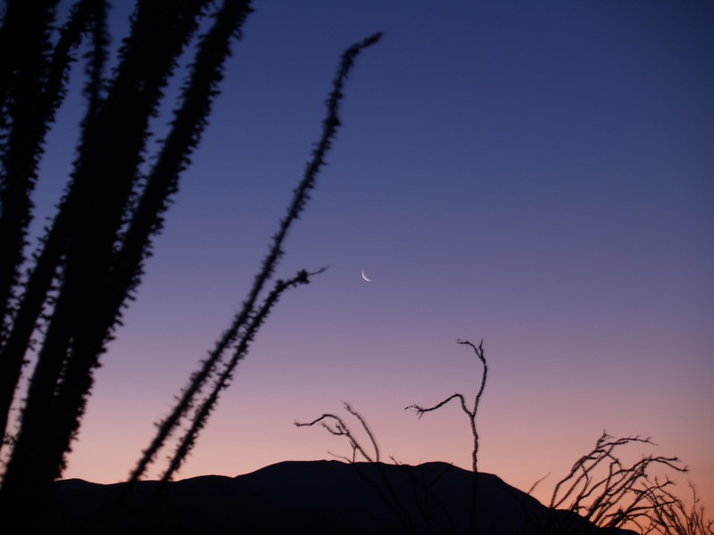 The crescent moon at dawn from our camp on Coyote Canyon Road